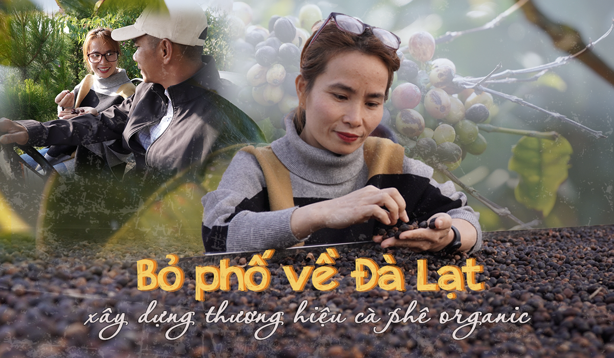 Đôi vợ chồng bỏ phố về Đà Lạt xây dựng thương hiệu cà phê organic