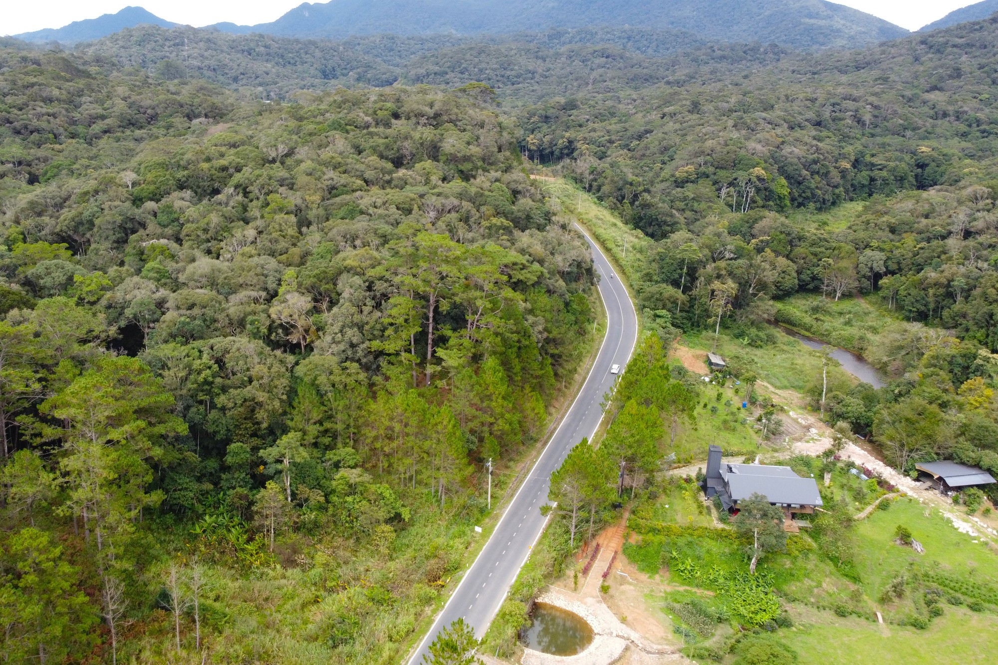 Lâm Đồng từ chối nghiên cứu quy hoạch dự án Dragon Hill Park 11ha trên đất rừng