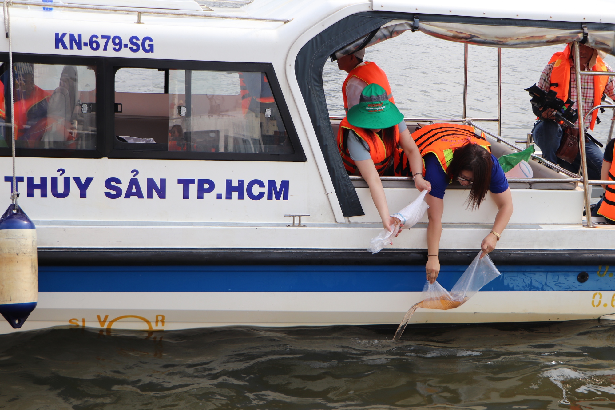 Cận cảnh thả 44.000 con cá lăng và 330.000 thuỷ sản nước ngọt xuống sông Sài Gòn - Ảnh 4.