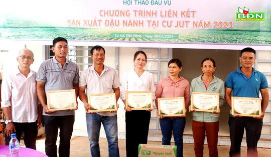 Nhiều nông dân huyện Cư Jut được trao chứng nhận thành viên Câu lạc bộ 3 tấn/ha