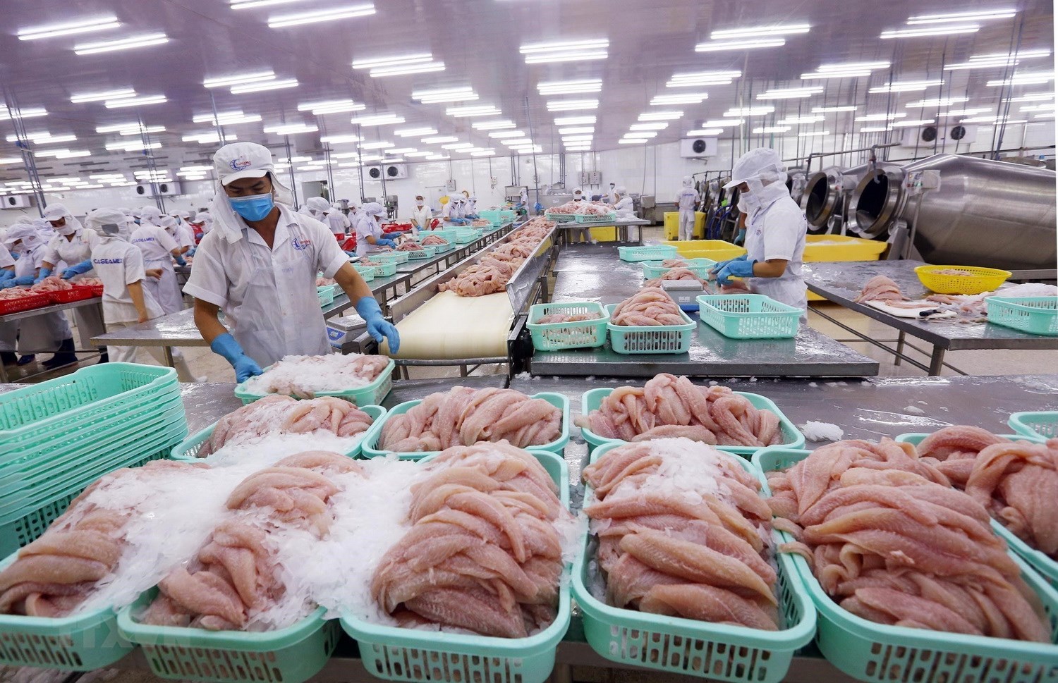 Sẵn sàng khi thị trường hồi phục