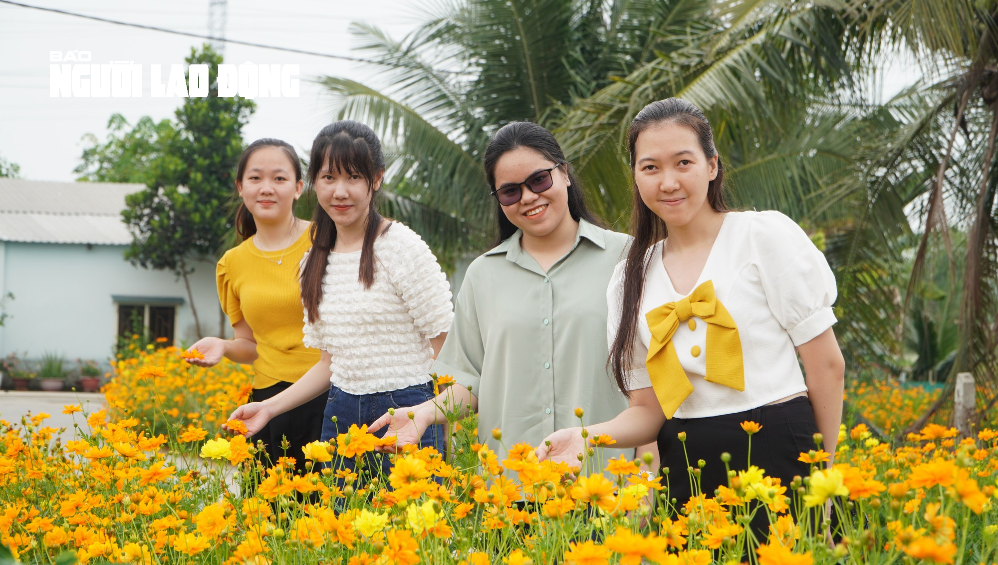 Tuyến đường hoa sao nhái tuyệt đẹp tại huyện Củ Chi, TP HCM - Ảnh 17.
