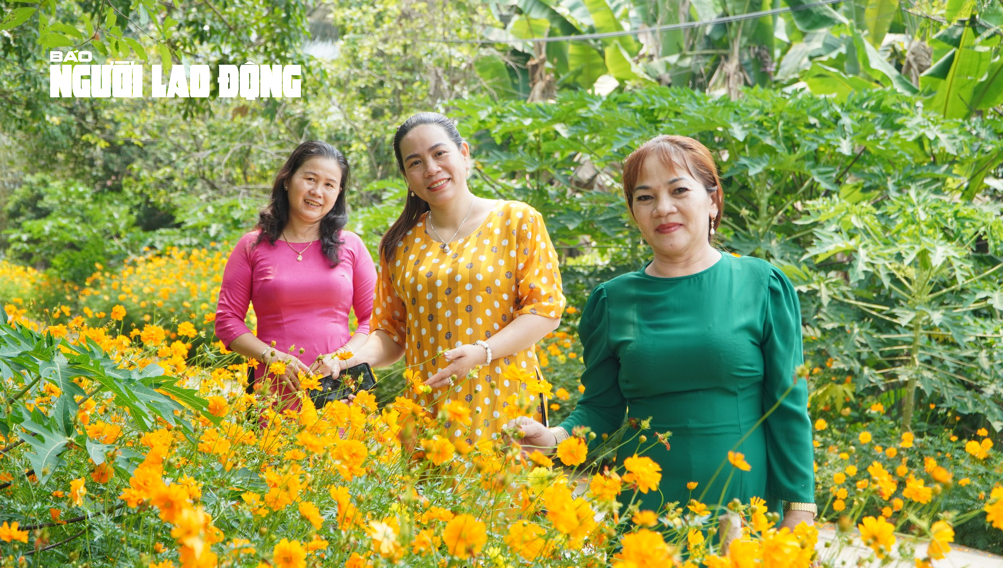 Tuyến đường hoa sao nhái tuyệt đẹp tại huyện Củ Chi, TP HCM - Ảnh 8.