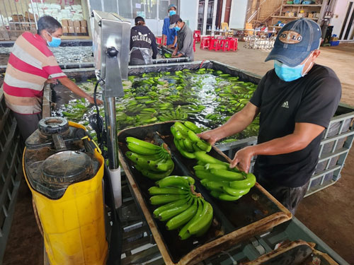 Bài toán xuất khẩu tiểu ngạch sang Trung Quốc (*): Cần lộ trình chuyển đổi
