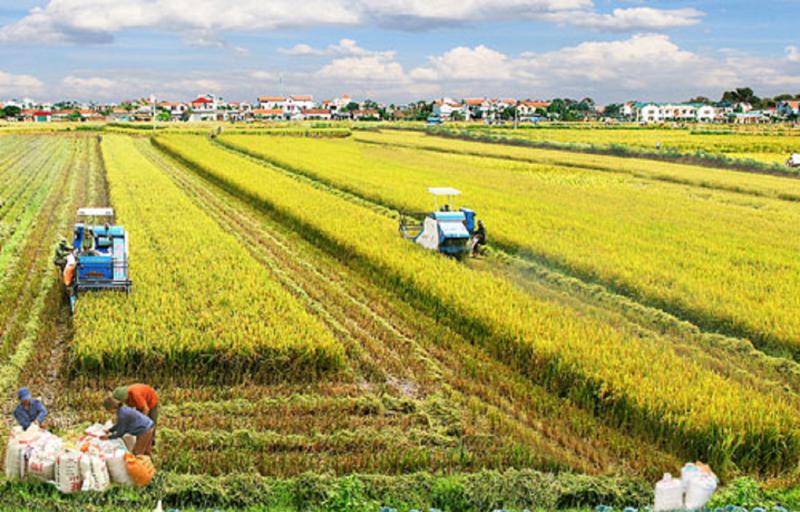 Việt Nam là nhà cung cấp lương thực minh bạch, trách nhiệm