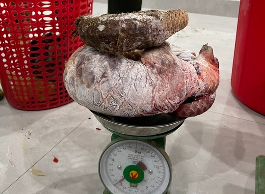 B&iacute; mật trong căn nh&agrave; của một người d&acirc;n ở thị trấn miền n&uacute;i - Ảnh 1.