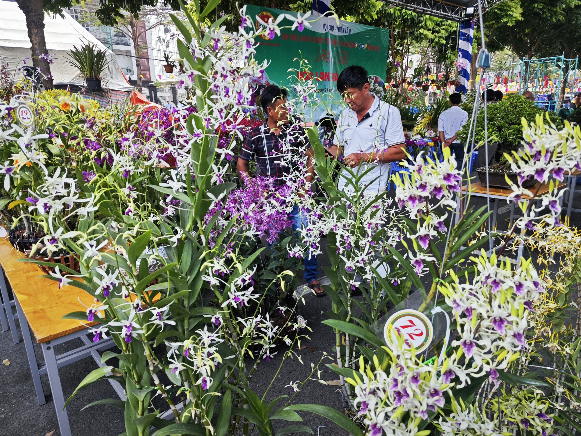 Ngỡ ng&agrave;ng với hoa đẹp tại hội chợ sản phẩm n&ocirc;ng nghiệp - Ảnh 1.