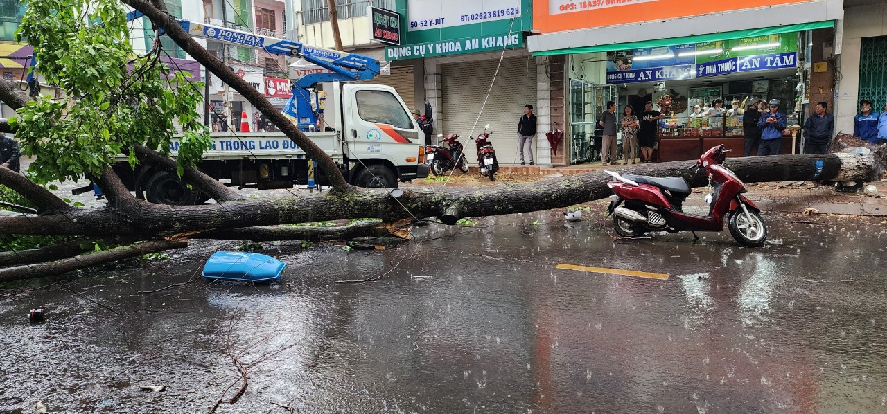 Bác sĩ Đắk Lắk và TP HCM cùng cứu chữa người phụ nữ bị cây đè - Ảnh 2.