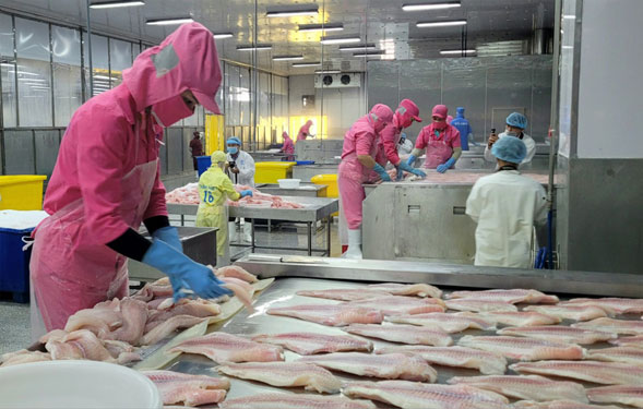 Tìm lối ra cho thủy sản xuất khẩu - Ảnh 2.