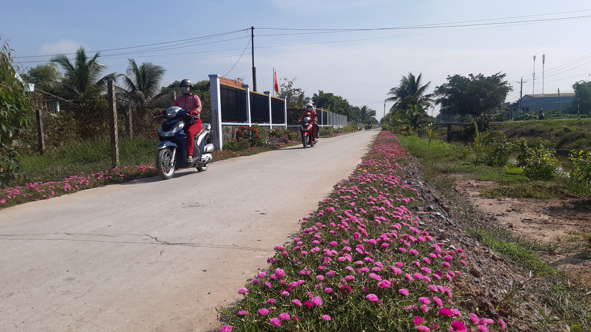 Đổi thay ở v&ugrave;ng đất kh&oacute; Đồng Th&aacute;p Mười - Ảnh 2.