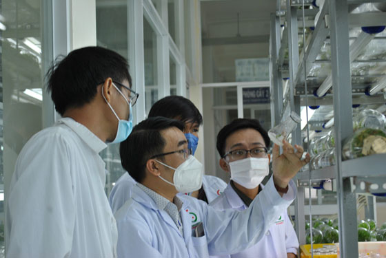 Những cú bắt tay bạc tỉ
