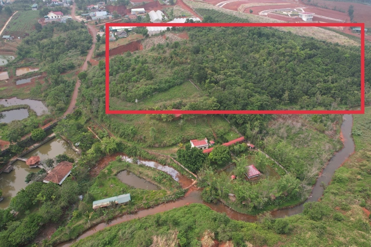Nh&agrave; đất nhiều địa phương bắt đầu n&oacute;ng - Ảnh 1.