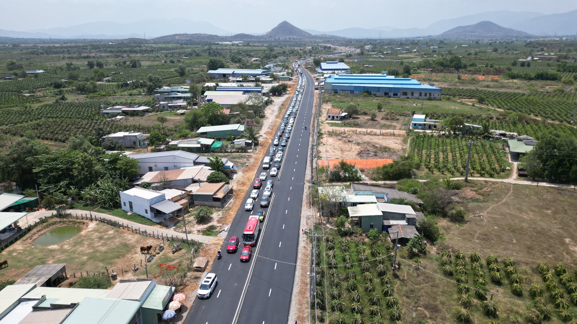 Tuyến cao tốc Dầu Gi&acirc;y - Phan Thiết &ugrave;n ứ ng&agrave;y th&ocirc;ng xe - Ảnh 5.