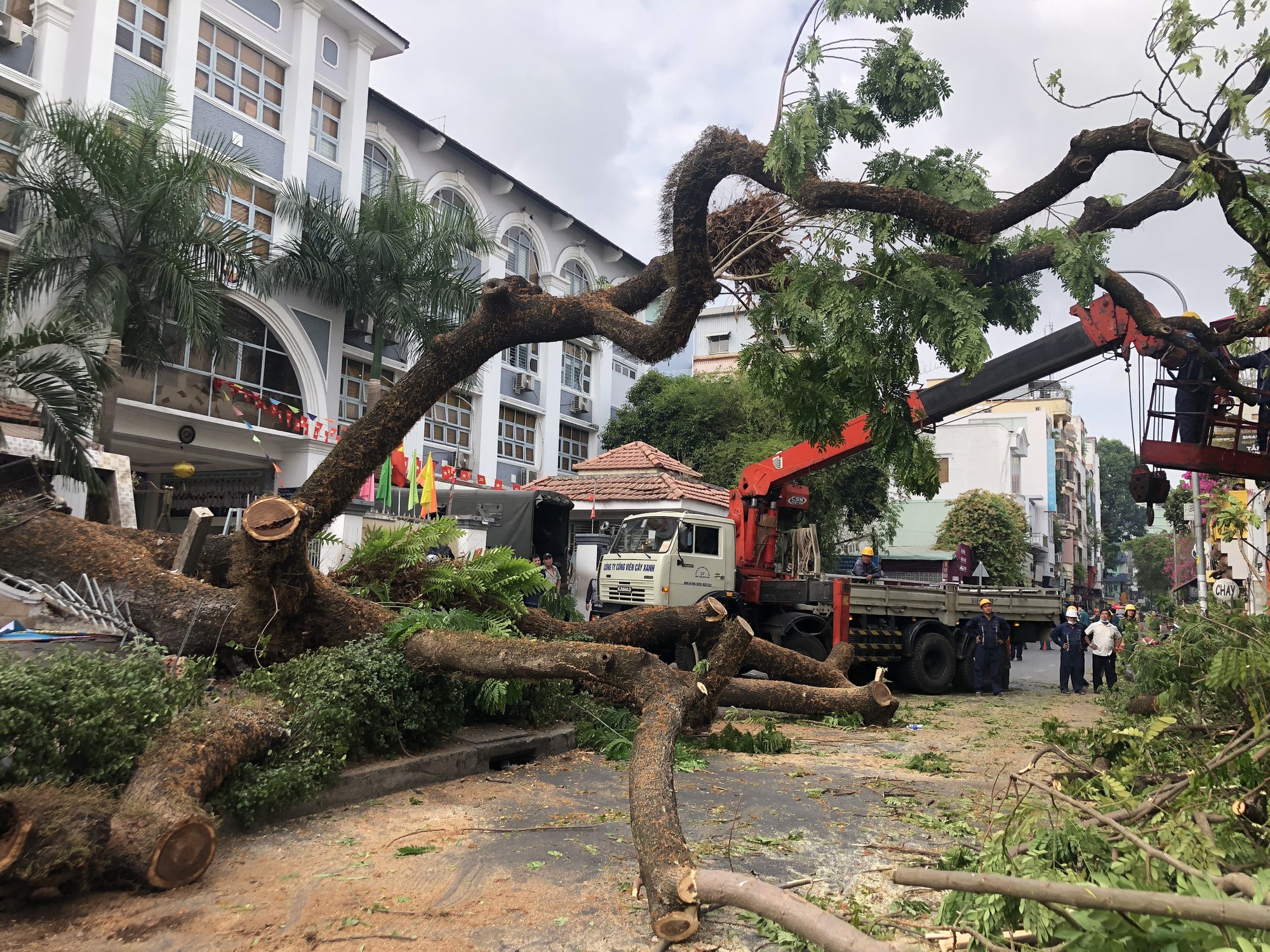Ớn lạnh hình ảnh gốc cây đổ đè nhiều người và xe ở trường Trần Văn Ơn - Ảnh 1.