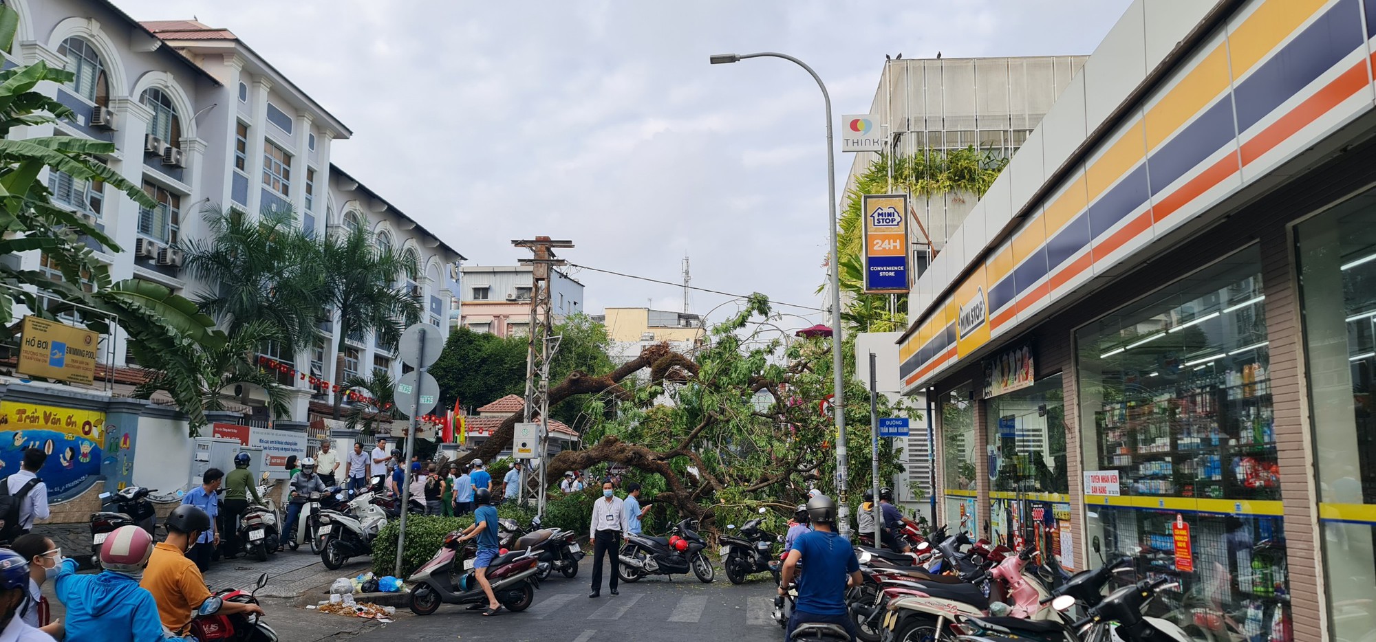 Ớn lạnh hình ảnh gốc cây đổ đè nhiều người và xe ở trường Trần Văn Ơn - Ảnh 4.