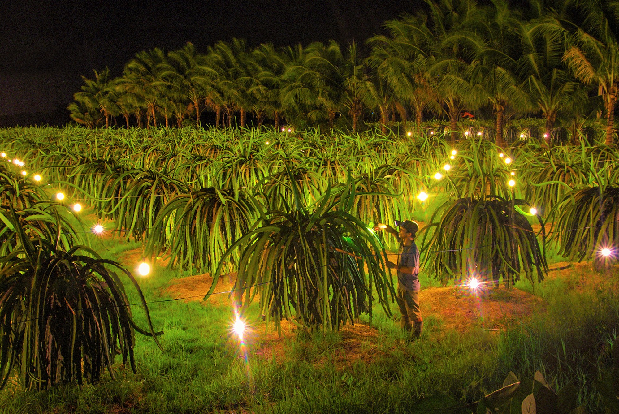 Cấp điện mùa nắng nóng: EVNSPC chú trọng dịch vụ, chăm sóc khách hàng - Ảnh 4.