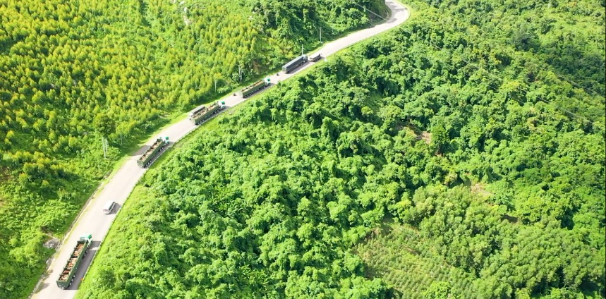 THILOGI mang đến nhiều giải pháp vận tải nội địa tối ưu cho doanh nghiệp