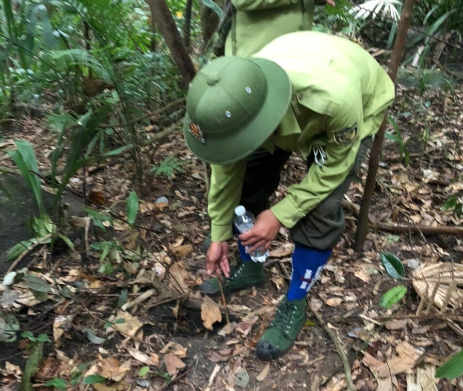 Bẫy thú dày đặc trên bán đảo Sơn Trà, đại diện kiểm lâm nói gì?