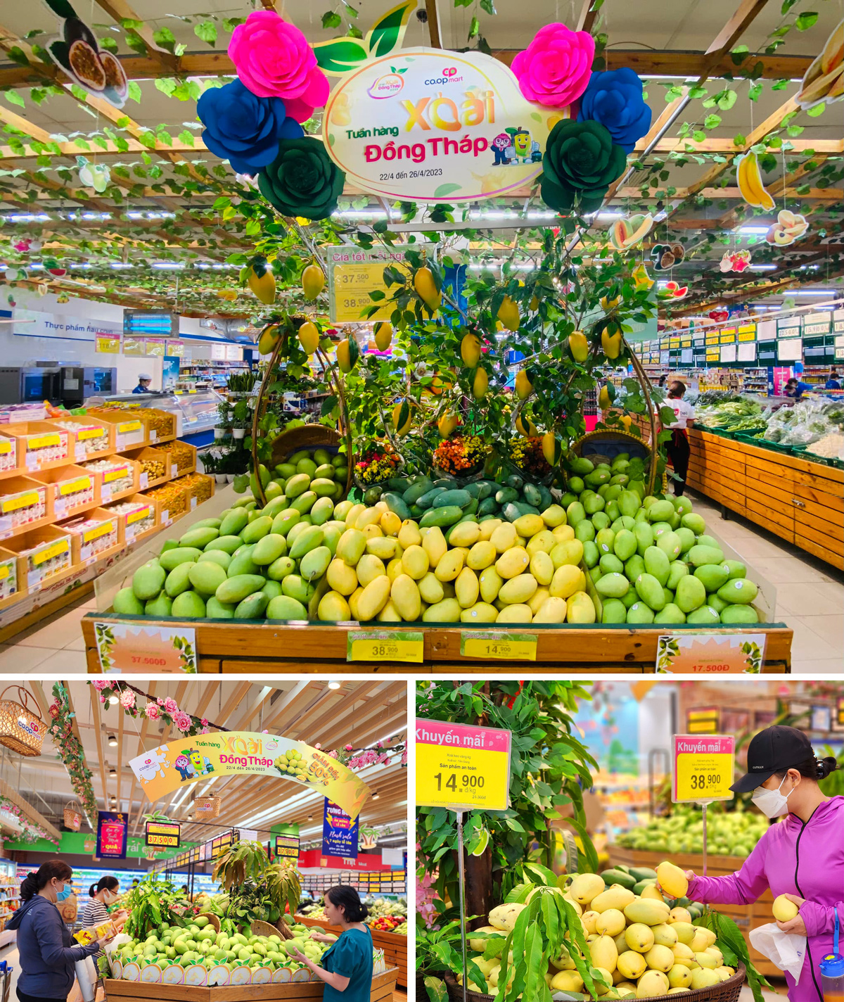CoopMart-mua-sam-H11