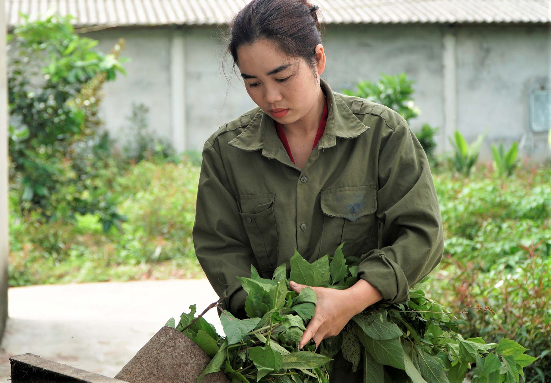 Thơm ngon thịt heo thảo dược - Ảnh 2.