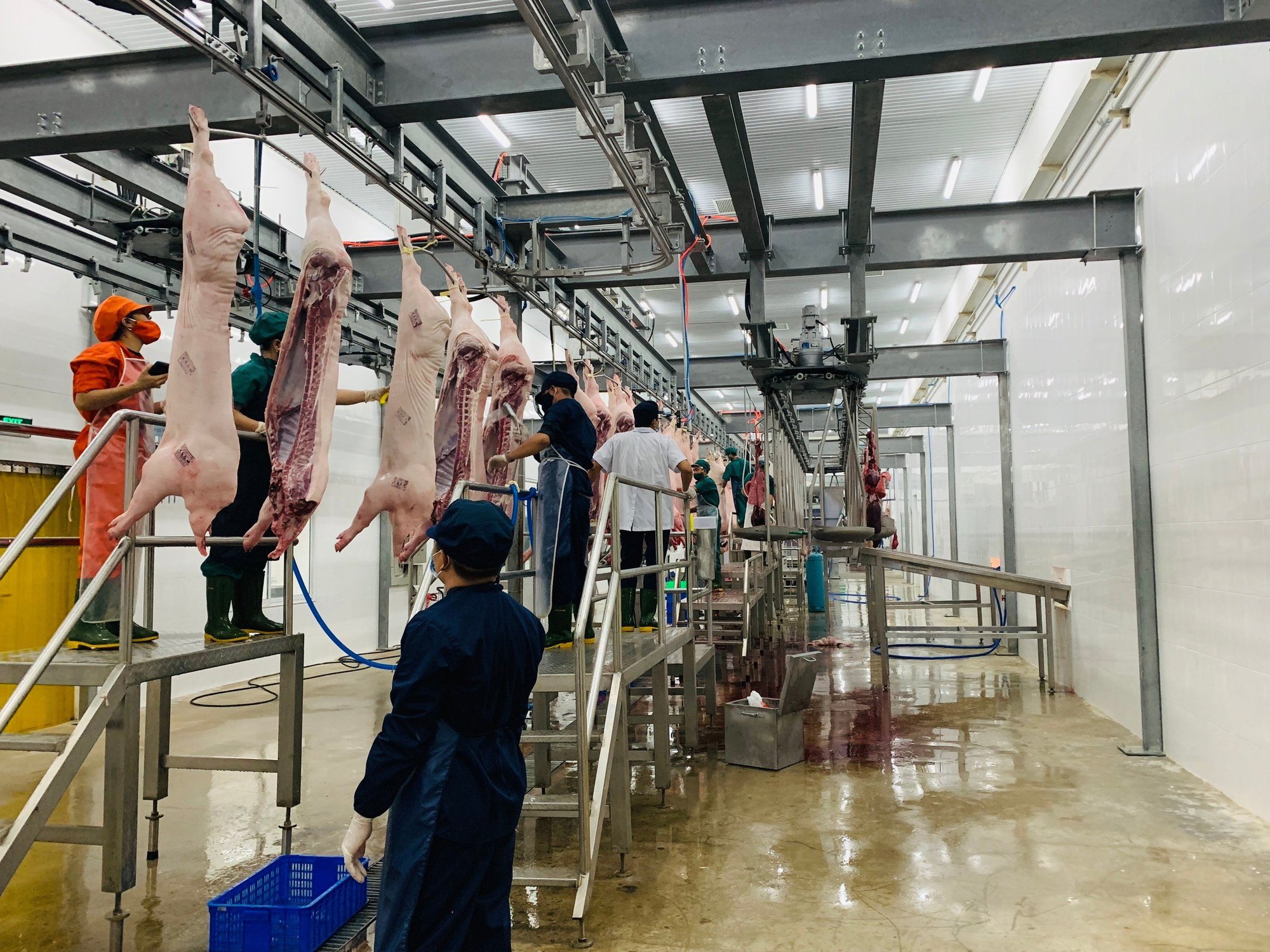 Gỡ khó cho giết mổ công nghiệp