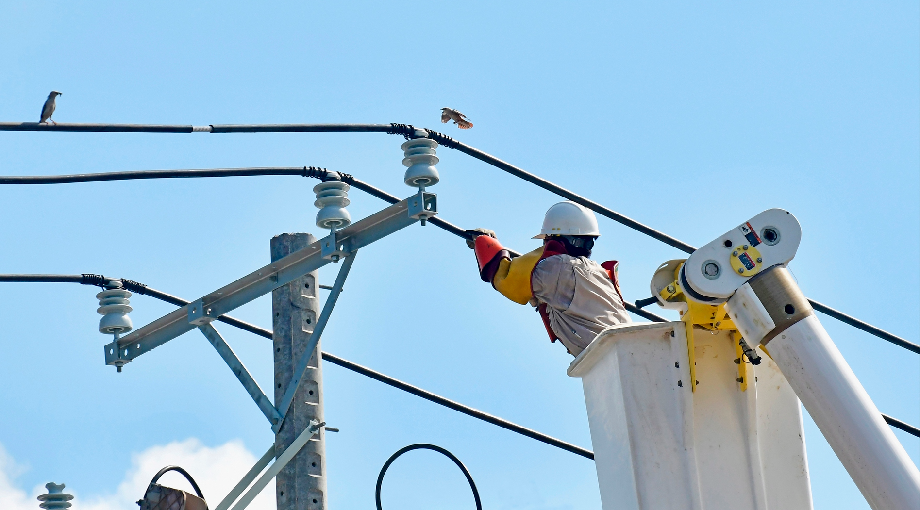 EVNSPC sẵn s&agrave;ng đảm bảo cấp điện tại 21 tỉnh ph&iacute;a Nam trong dịp lễ - Ảnh 4.