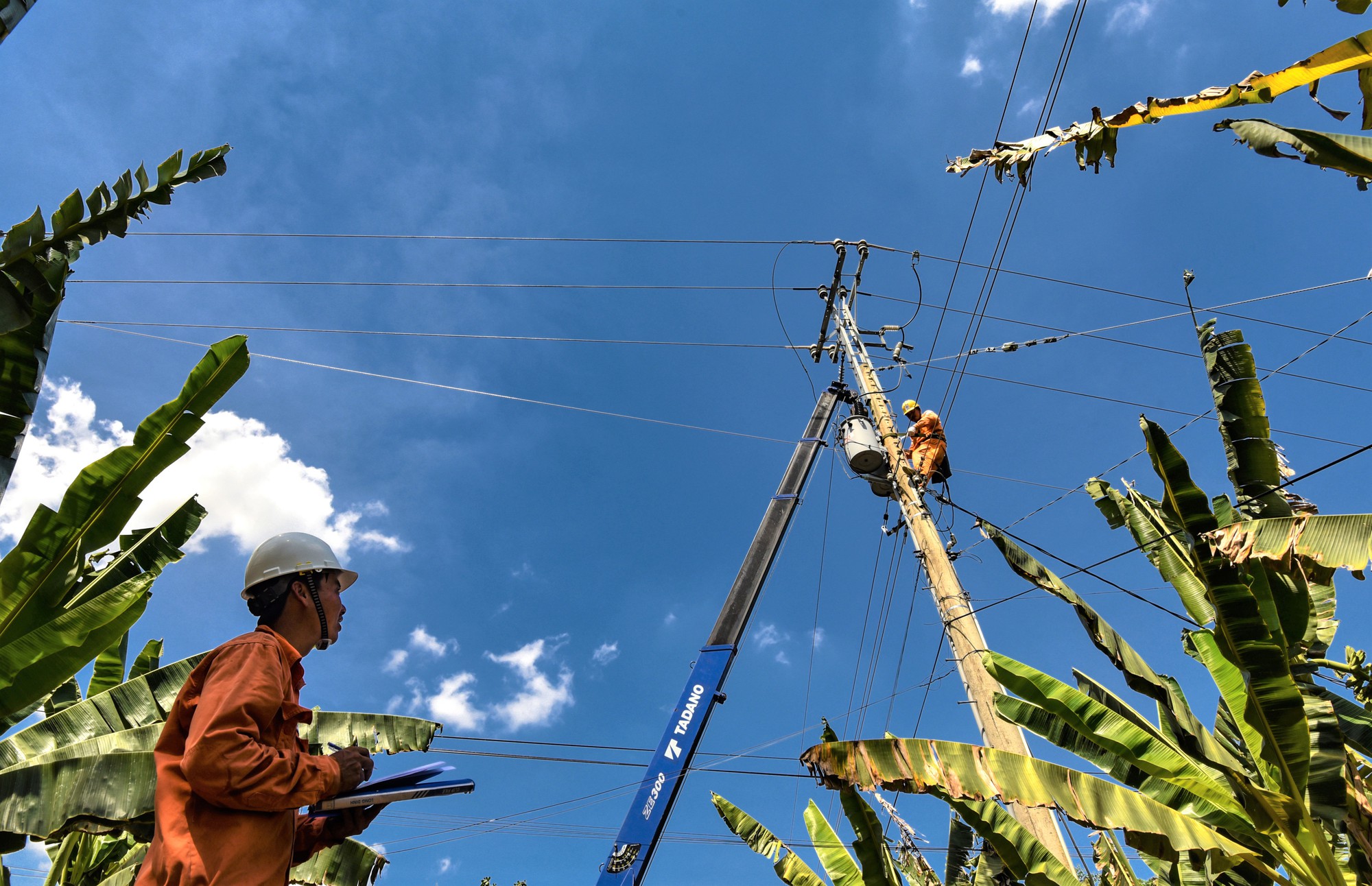 EVNSPC sẵn s&agrave;ng đảm bảo cấp điện tại 21 tỉnh ph&iacute;a Nam trong dịp lễ - Ảnh 5.