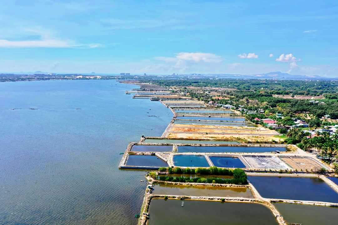 Rắc rối xử l&yacute; sai phạm đất đai Cam L&acirc;m - Ảnh 1.