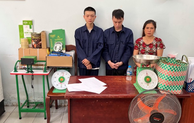 Công an bóc gỡ đường dây trồng, tiêu thụ cần sa quy mô lớn, liên tỉnh