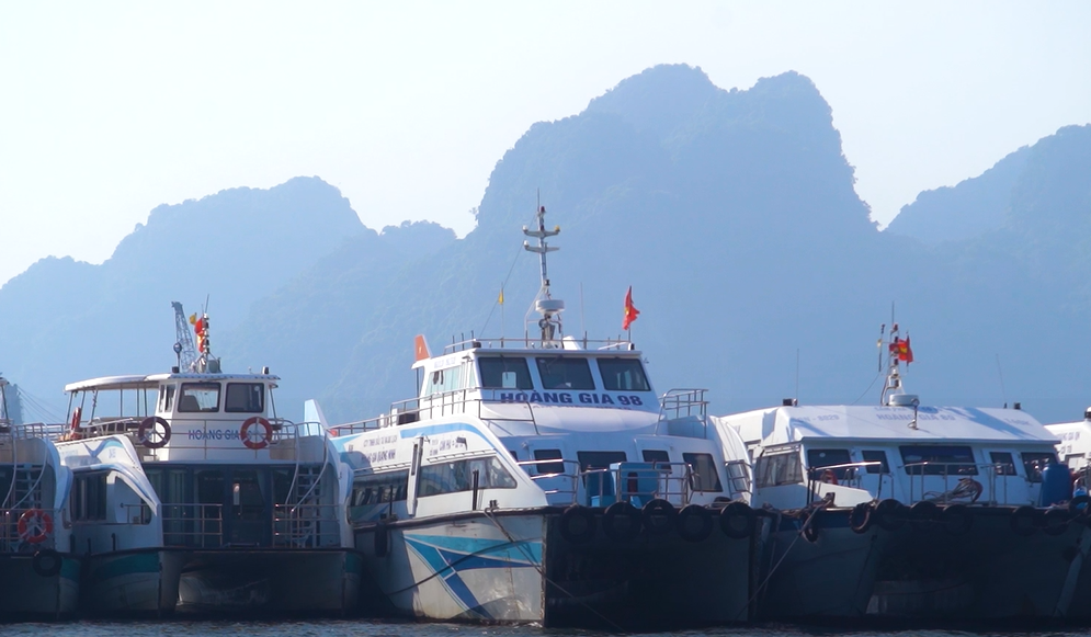 Hợp t&aacute;c quốc tế hỗ trợ doanh nghiệp do phụ nữ l&agrave;m chủ - Ảnh 3.