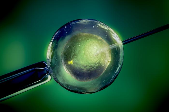 Anh: Em bé đầu tiên mang DNA của 3 người cha mẹ ra đời