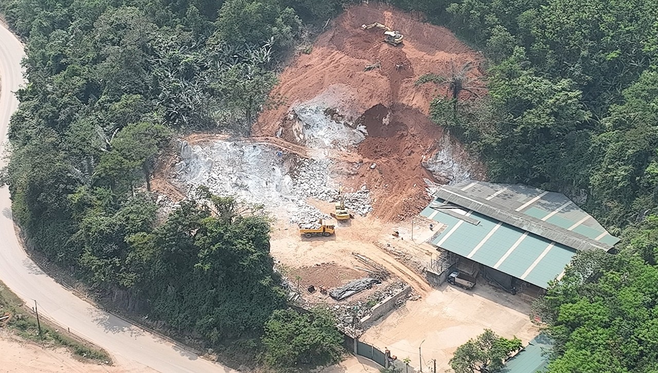 Xử phạt doanh nghiệp phá núi, chiếm hơn 1.600m2 đất rừng để "nhốt" trâu bò