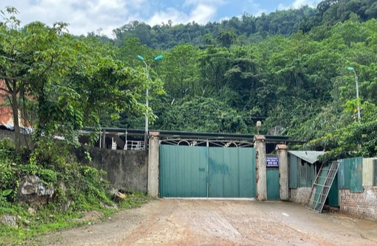 Xử phạt doanh nghiệp phá núi, chiếm hơn 1.600m2 đất rừng để nhốt trâu bò - Ảnh 1.
