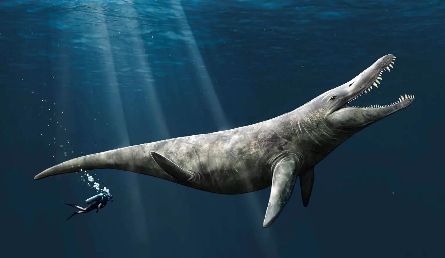 Mất tích 152 triệu năm, "T-rex đại dương" hiện ra bất ngờ giữa bảo tàng