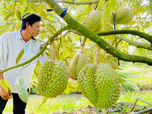 Nông nghiệp tử tế đã là mệnh lệnh