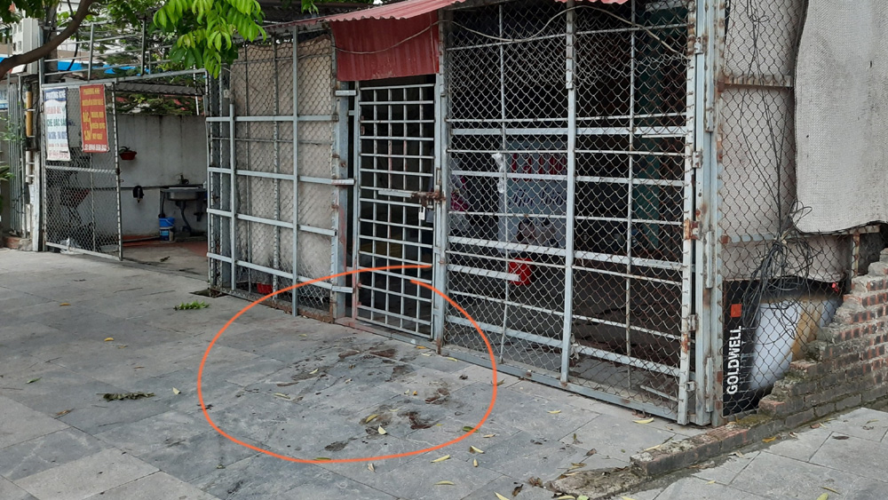 5 thanh niên xông vào hành hung, đâm tử vong nữ nhân viên quán cà phê thư giãn