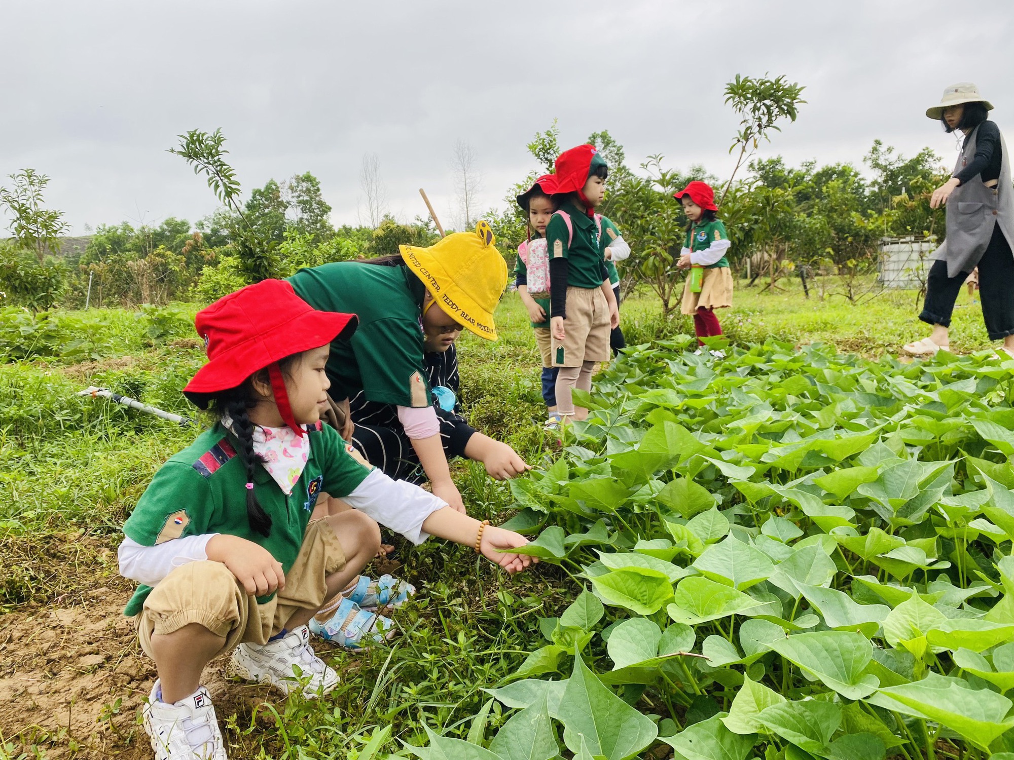 Thích thú trải nghiệm du lịch nông trại - Ảnh 2.
