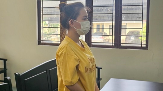 B&eacute; 3 tuổi tử vong ở nh&agrave; bảo mẫu: T&ograve;a kiến nghị xử l&yacute; tội danh kh&aacute;c - Ảnh 1.