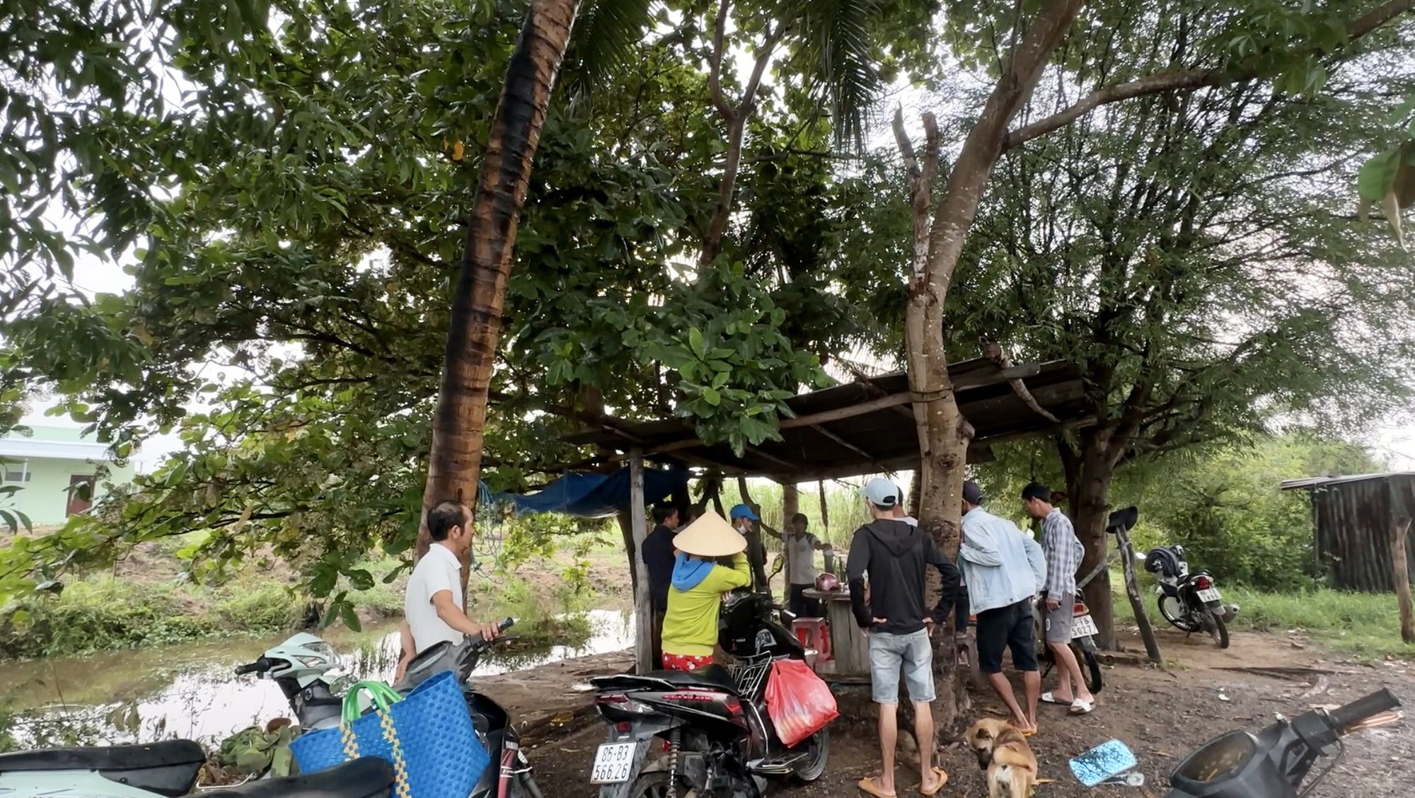 Sét đánh trúng chòi sắt dưới tán cây, 1 người tử vong