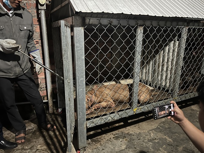 Vụ cụ bà bị chó pitbull cắn đến chết: Dư luận dậy sóng bức xúc vì đâu? - Ảnh 3.