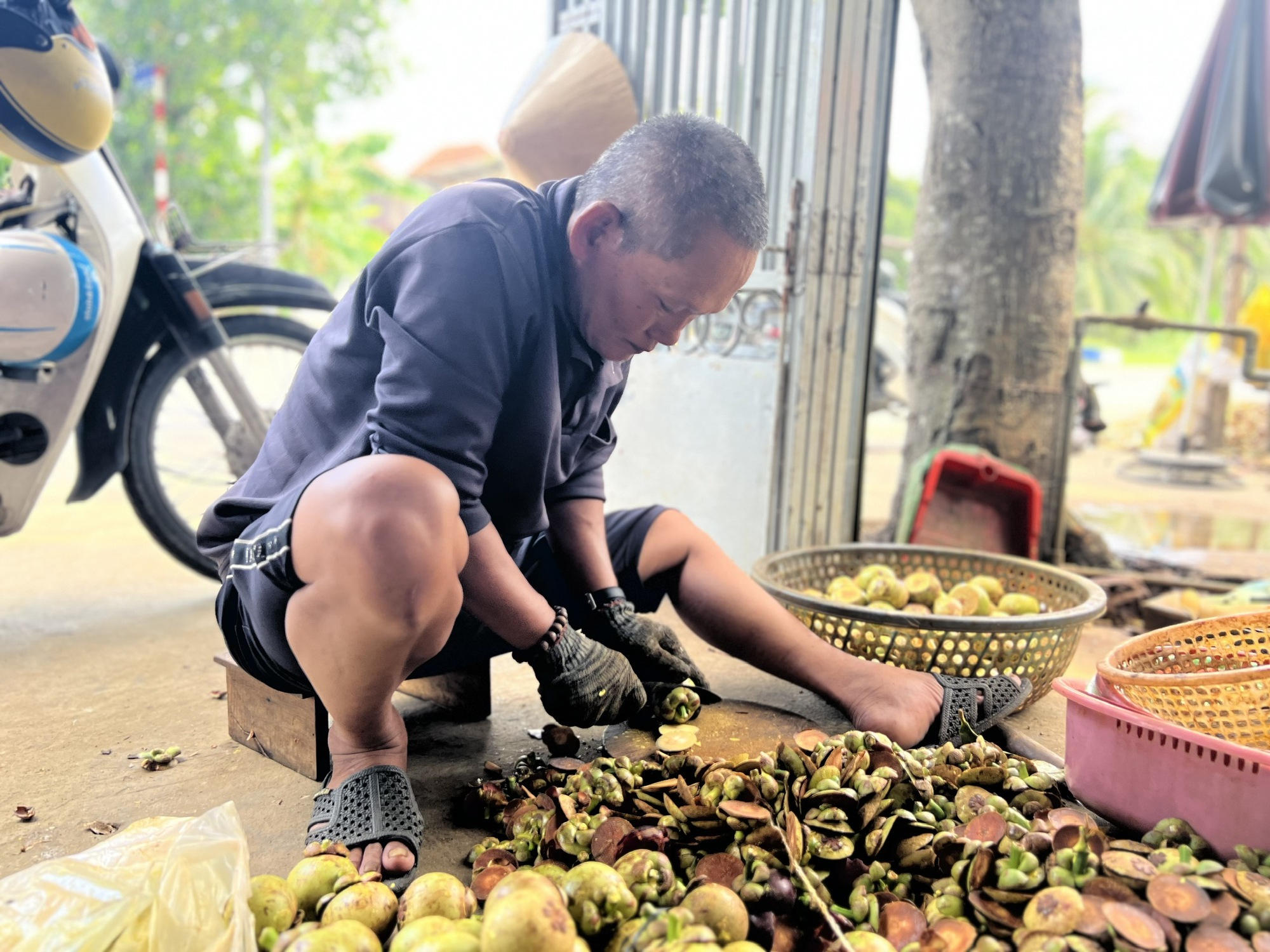 Nhiều người ở B&igrave;nh Dương tr&uacute;ng đậm nhờ măng cụt g&acirc;y sốt mạng x&atilde; hội - Ảnh 9.