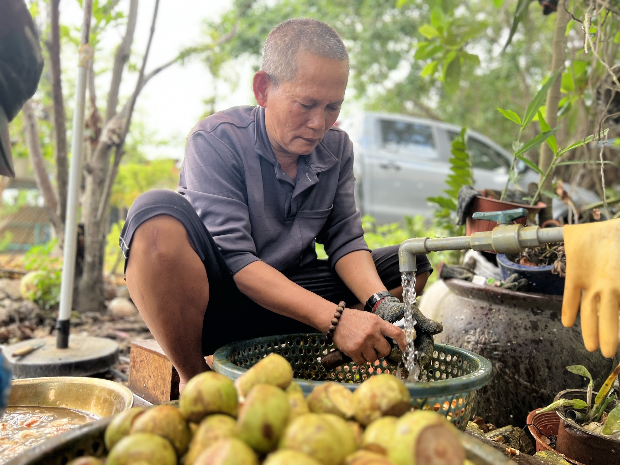 Nhiều người ở Bình Dương "trúng đậm" nhờ măng cụt gây sốt mạng xã hội
