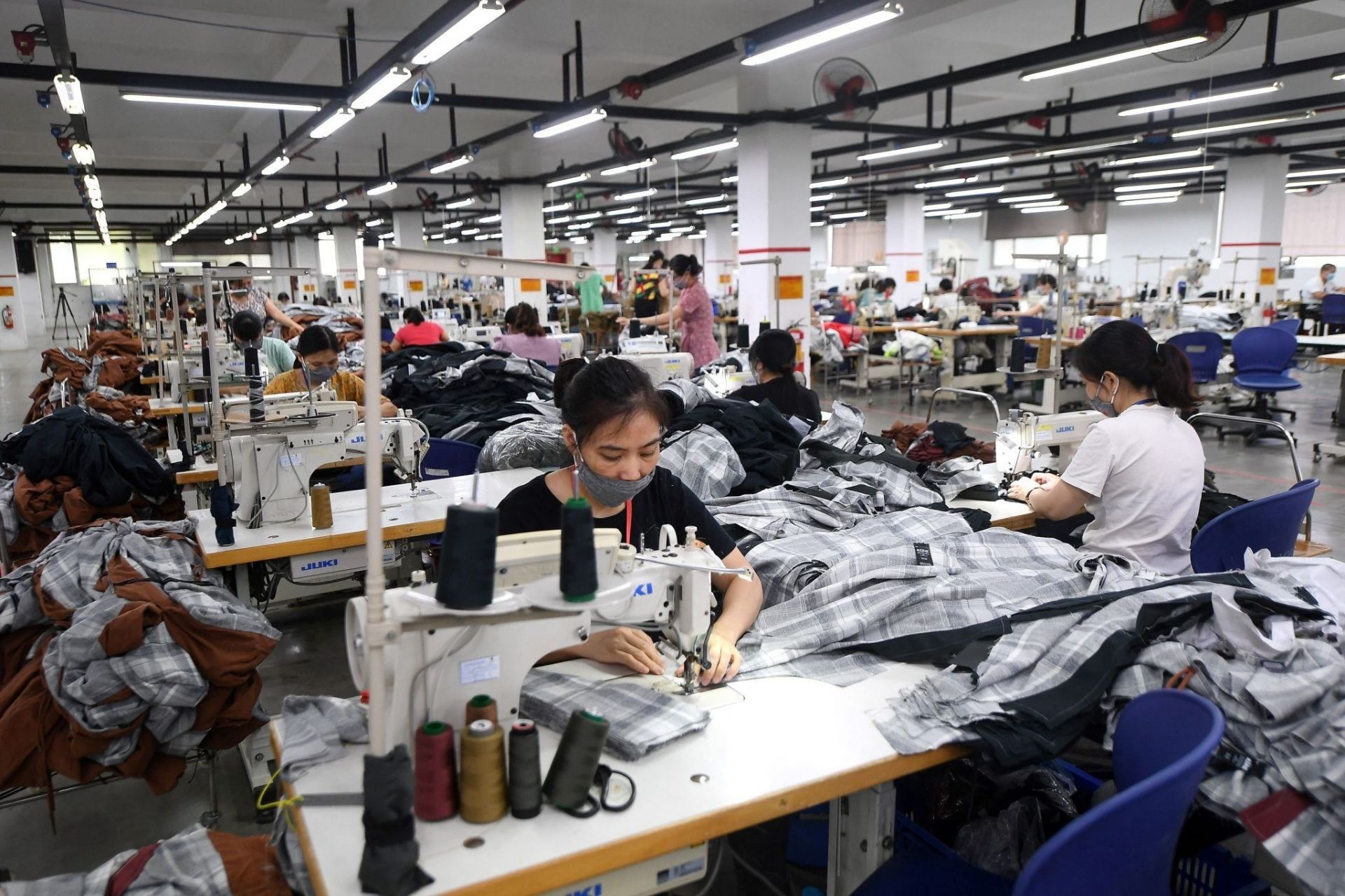Sửa đổi Luật BHXH: Đừng chỉ quan t&acirc;m đến phần ngọn - Ảnh 2.