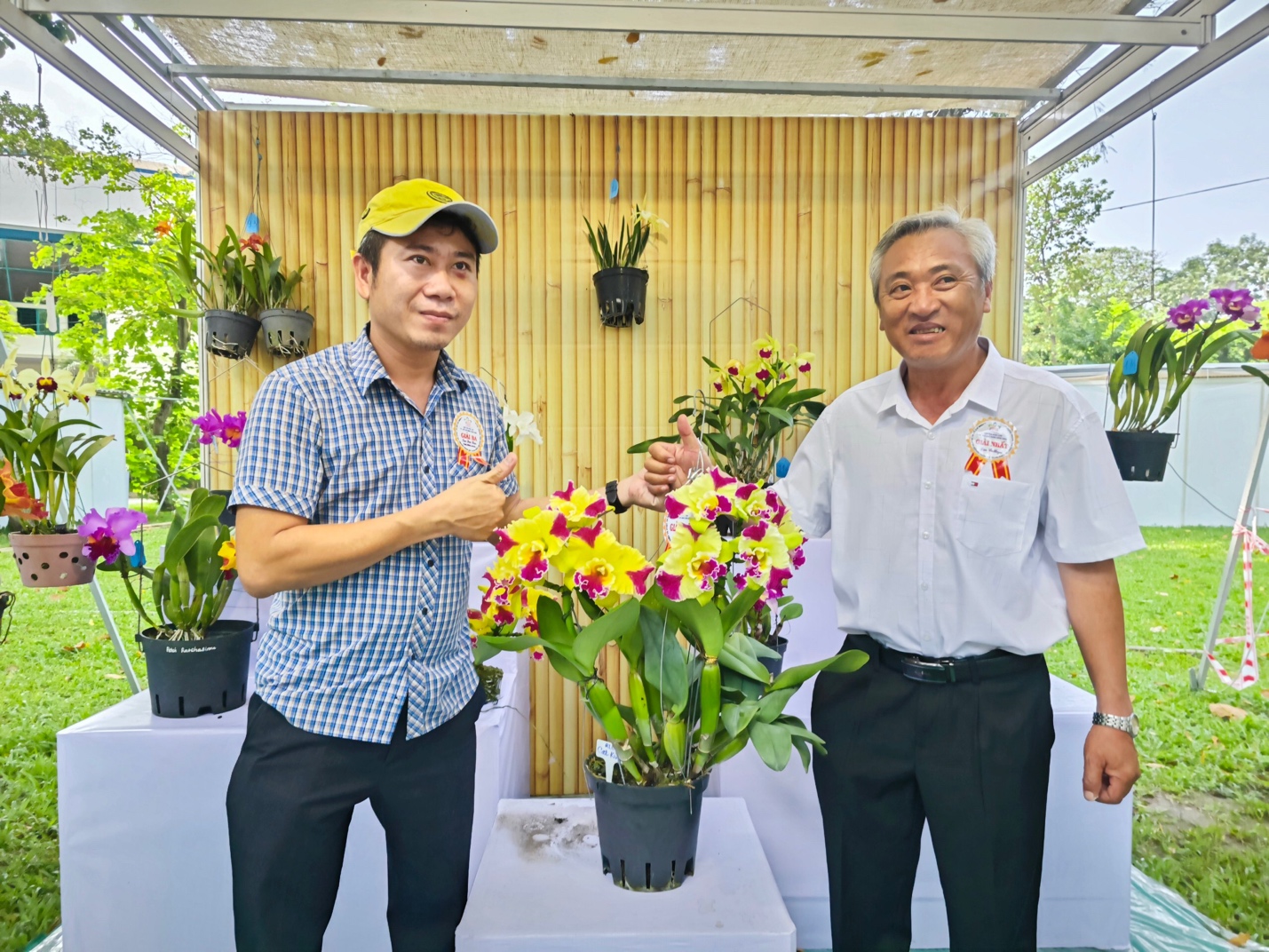 Mãn nhãn tại Festival Hoa lan TP HCM lần II - Ảnh 2.