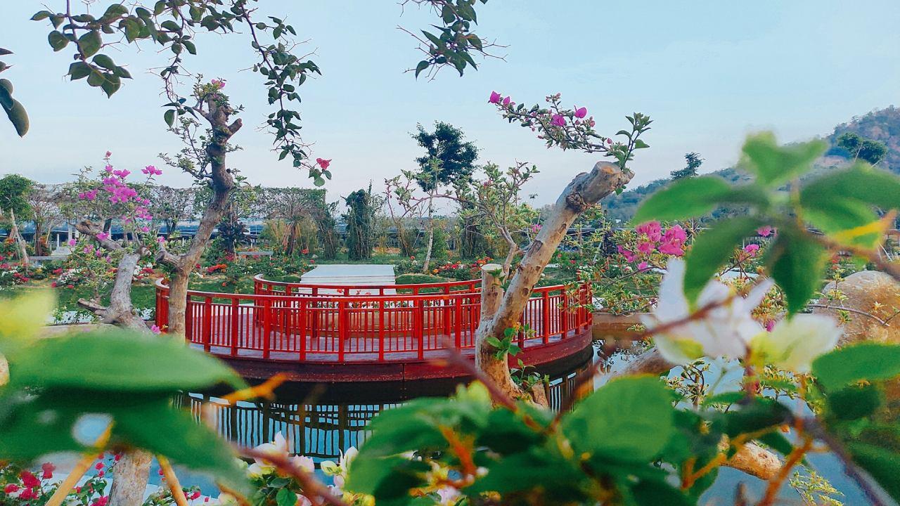 An Hảo vị ngọt, hương thơm ng&agrave;y nắng hạ - Ảnh 3.