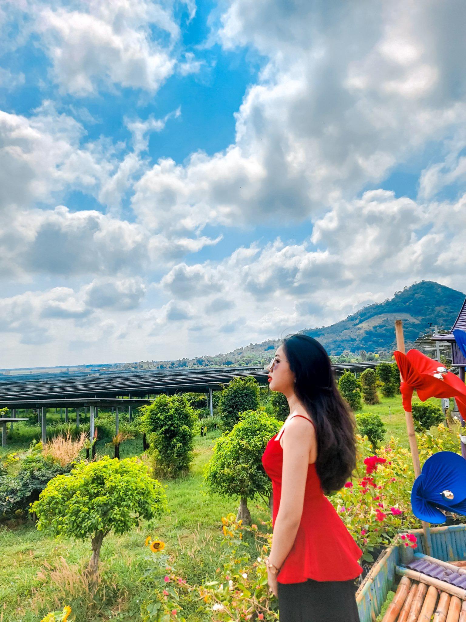 An Hảo vị ngọt, hương thơm ng&agrave;y nắng hạ - Ảnh 8.