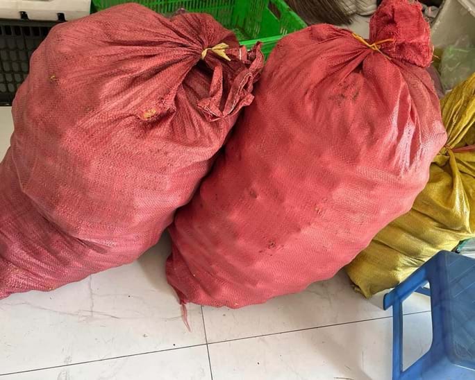 Măng cụt xanh được săn l&ugrave;ng để l&agrave;m gỏi g&agrave; măng cụt - Ảnh 3.