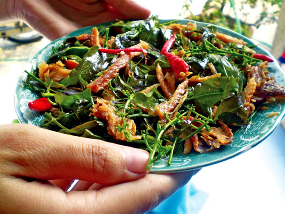 Sầu đâu: Nguồn dược liệu quý - Ảnh 2.