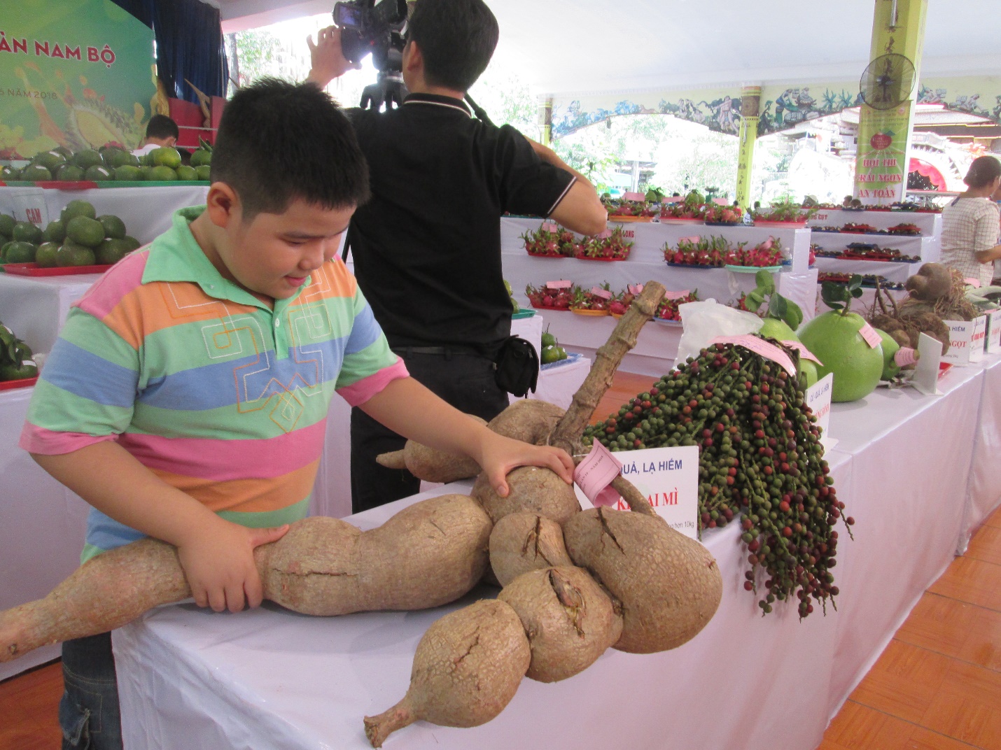 “Hội thi Trái ngon – An toàn Nam Bộ” trở lại