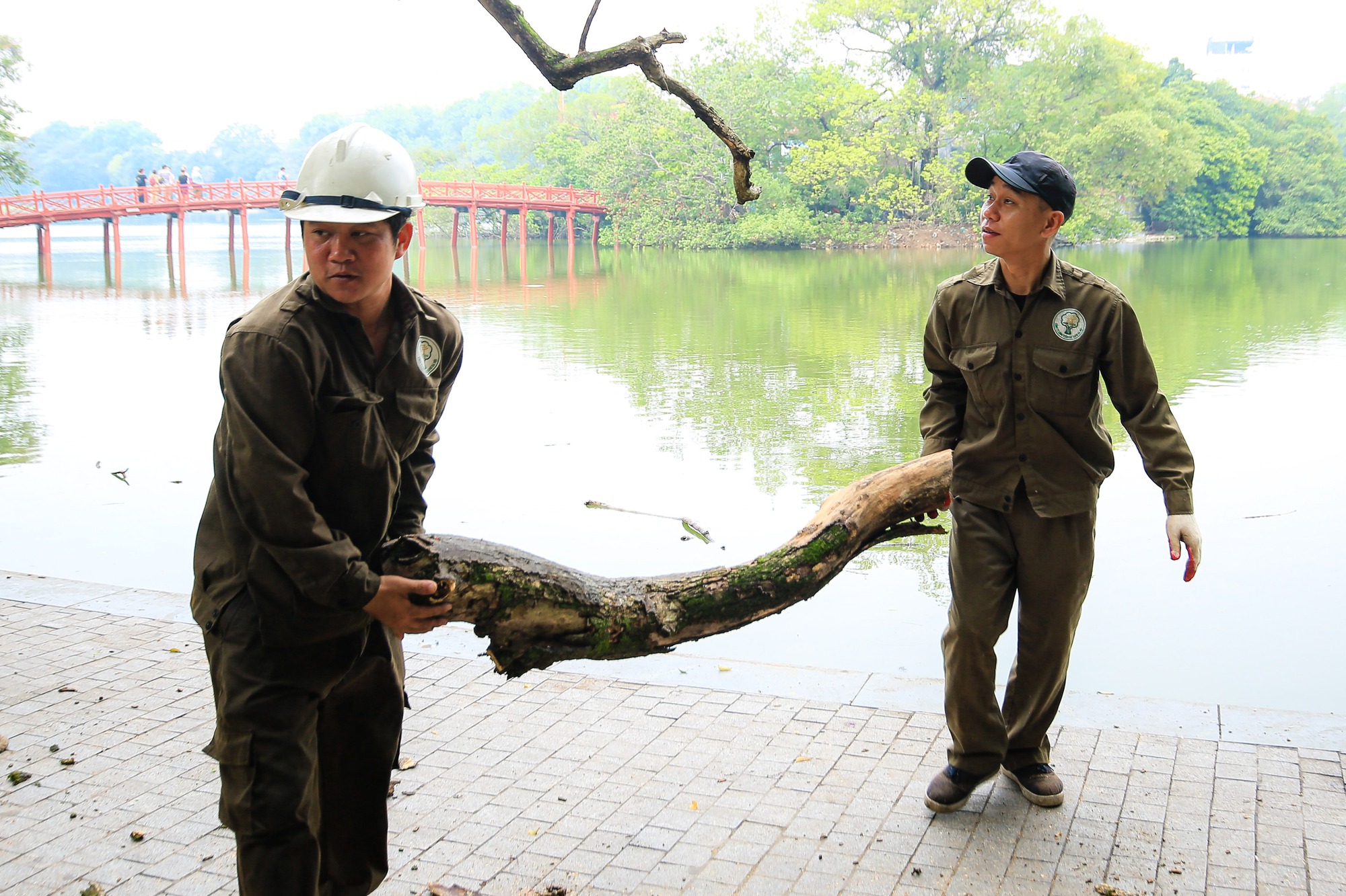 CLIP: Chặt hạ 3 c&acirc;y sưa chết kh&ocirc; b&ecirc;n hồ Gươm - Ảnh 7.